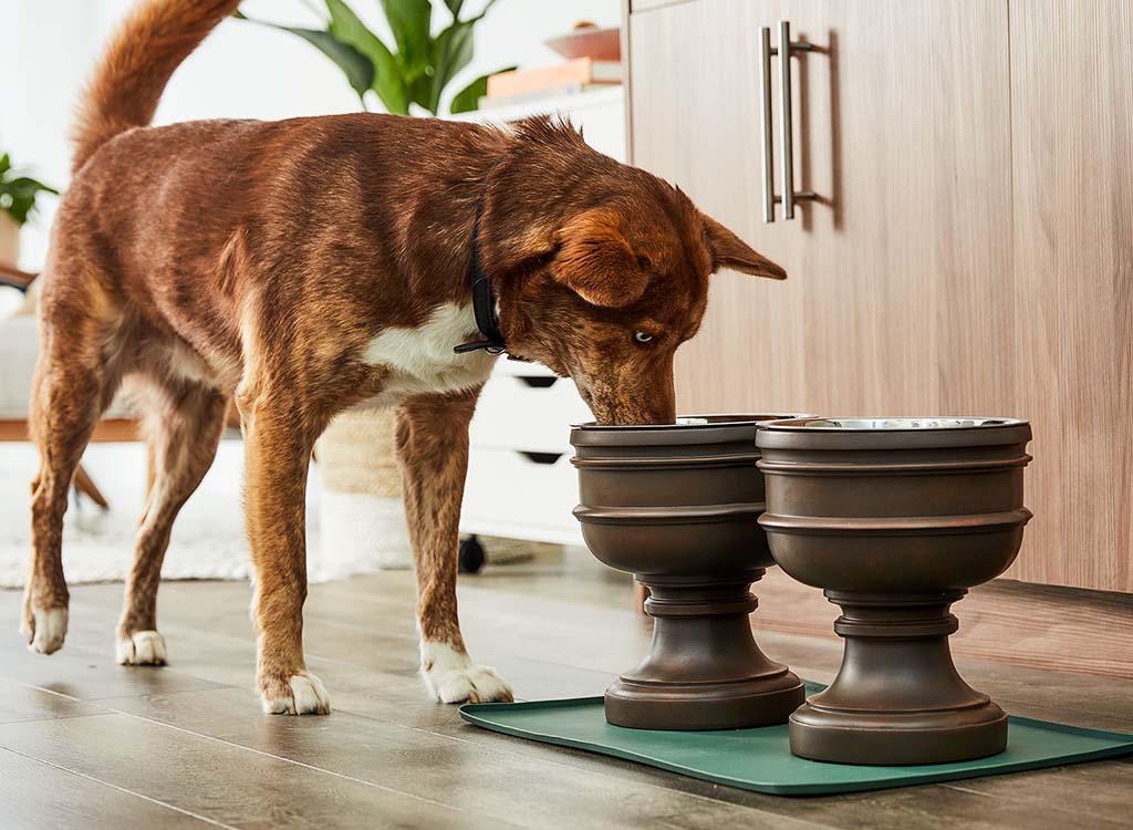Natural Wood Dog Bowl Stand  Handmade Dog Bowl Stand