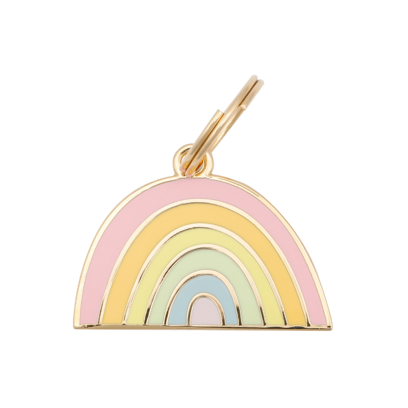 Rainbow Pet ID Tag