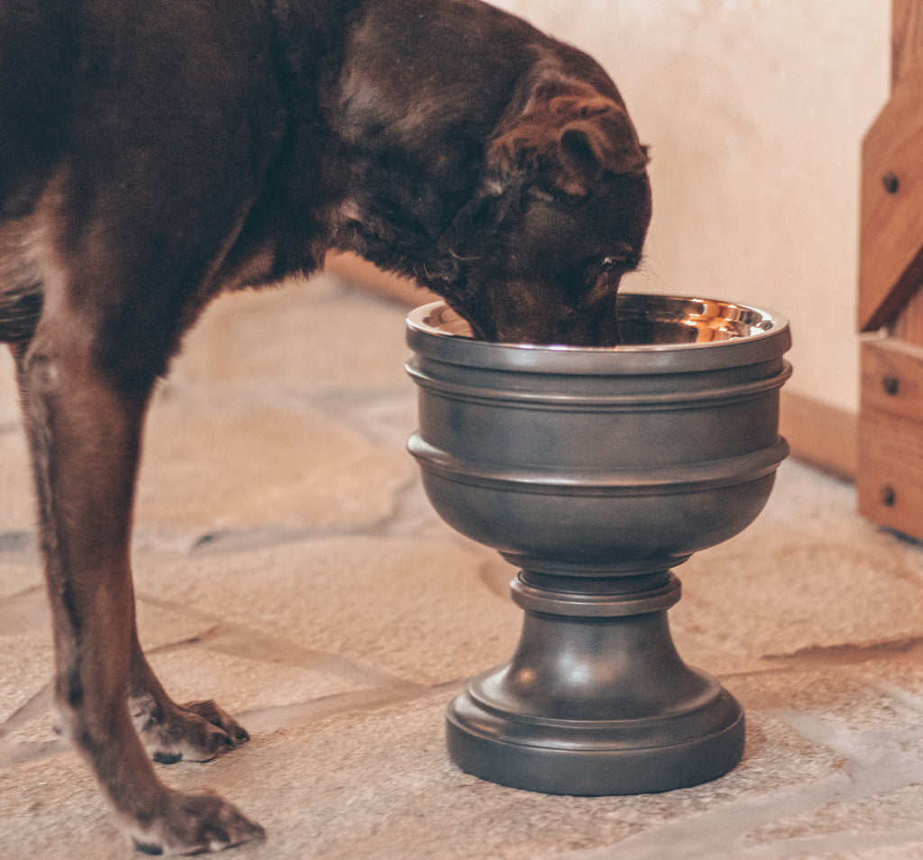 Terrazzo Elevated Dog Bowl  Dog bowls, Large dog bowls, Elevated dog bowls